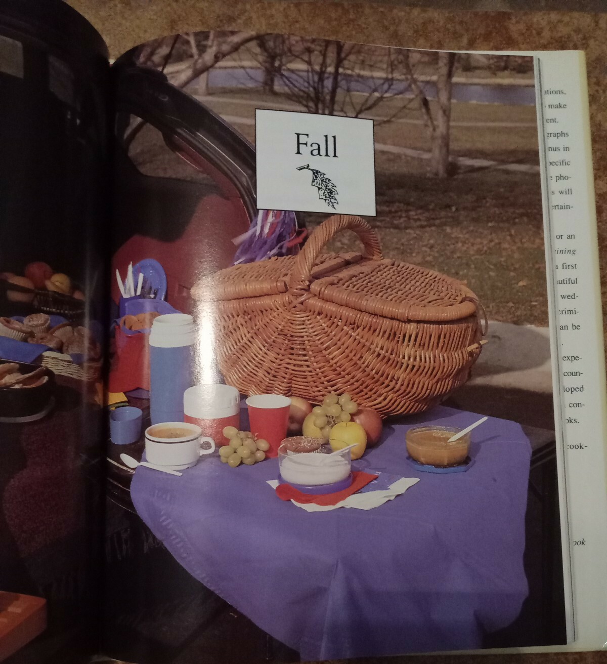 Vintage 1992 Betty Crocker&rsquo;s Easy Entertaining Julie Turnbull/Editors 161 Pages