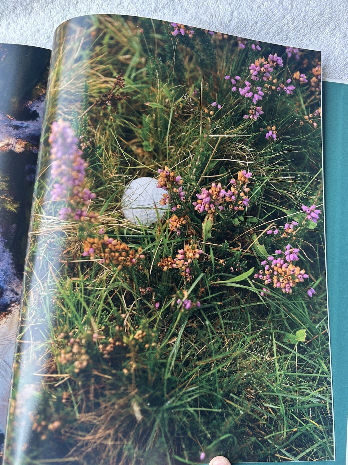 The Golfer&rsquo;s Journal Quiet Please Coffee Table Book Premium Member Gift