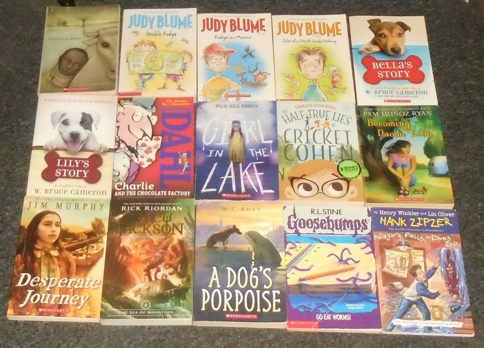 25 Children&rsquo;s Books LOT 1 ages 8-12 4th-8th Grades Middle Grades MG Accelerated+