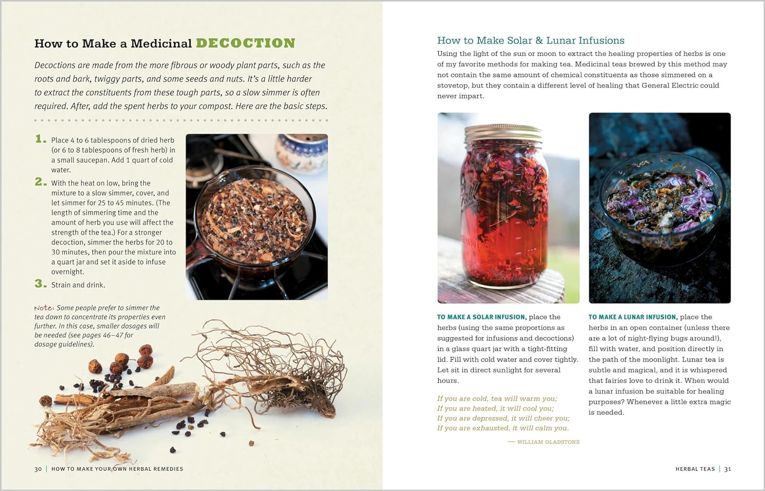 Rosemary Gladstar&rsquo;s Medicinal Herbs: A Beginner&rsquo;s Guide: 33 Healing Herbs to Kno