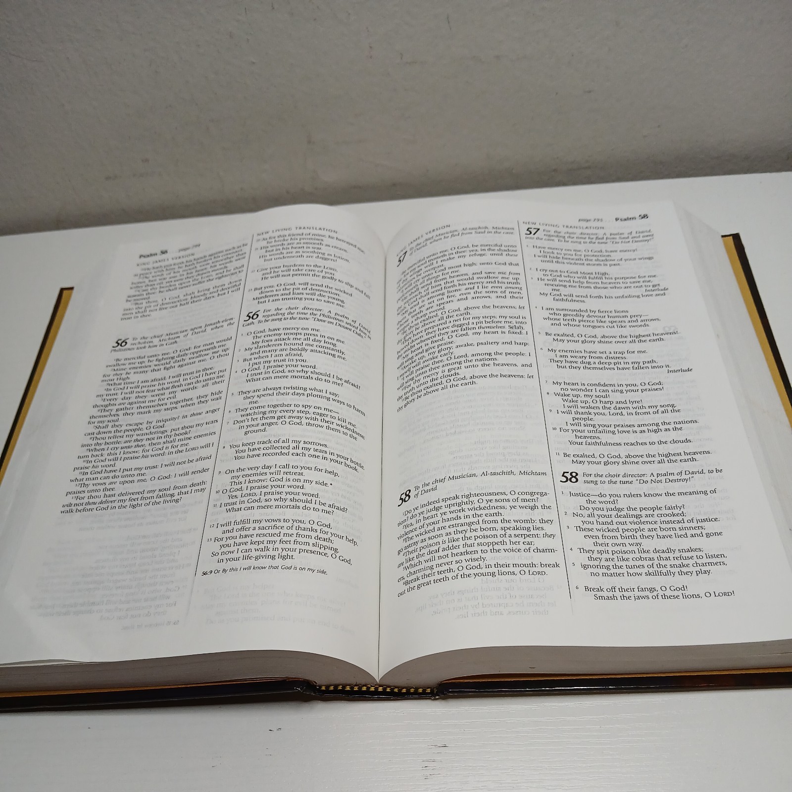 Holy Bible: People&rsquo;s Parallel Edition King James Version/New Living Translation