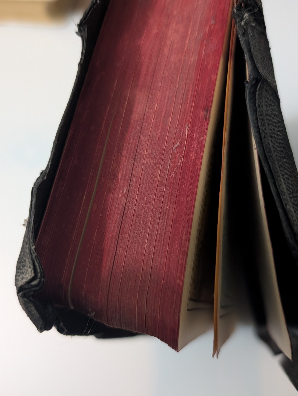 Vintage Holy Bible Illustrated With the Words of Christ Printed in Red (1940&rsquo;s)