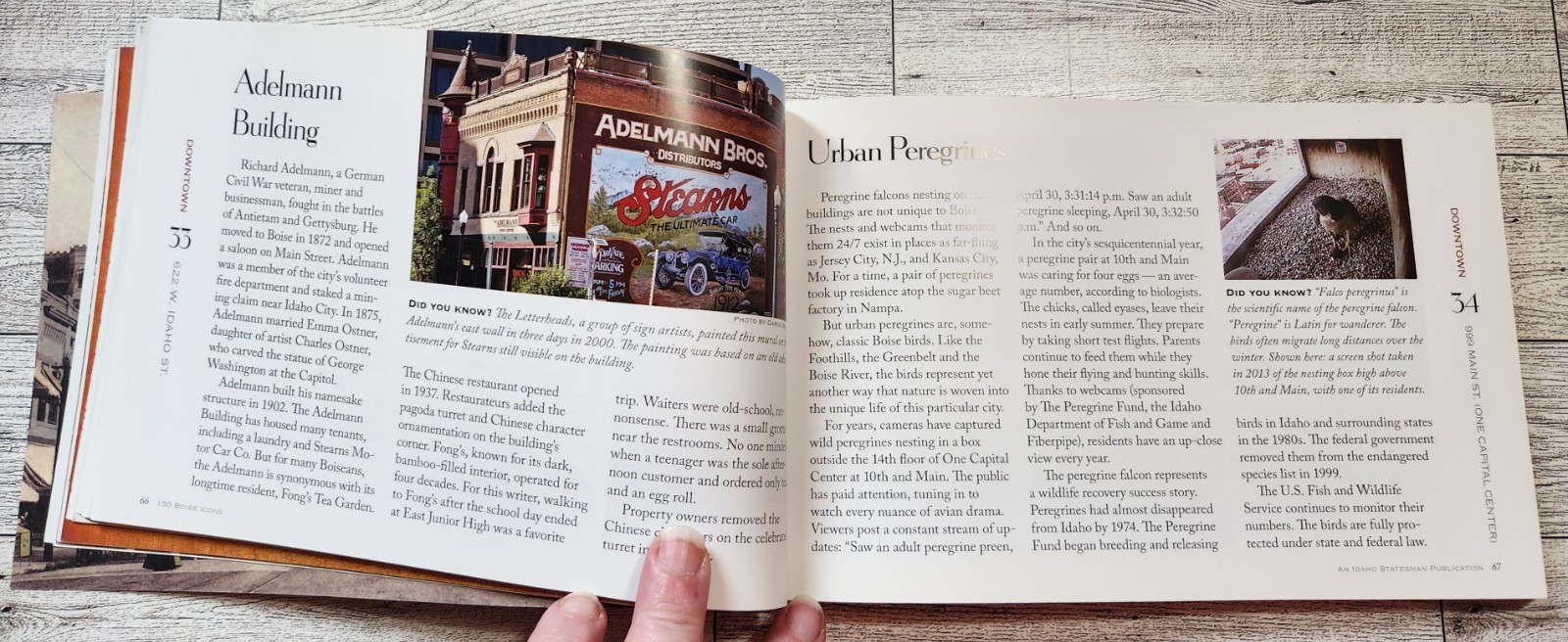 150 Boise Icons to Celebrate the City&rsquo;s Sesquicentennial ~ Anna Webb ~ 2013