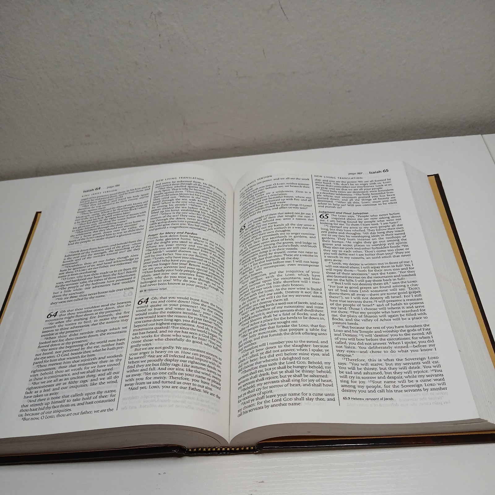 Holy Bible: People&rsquo;s Parallel Edition King James Version/New Living Translation