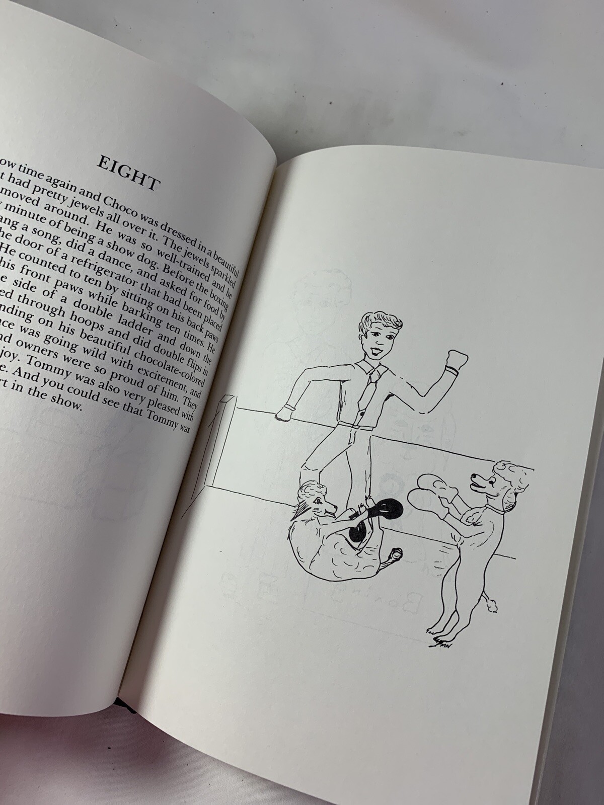 A Gift for the Whole Family ~ A Children&rsquo;s Story and Poetry for All Ages