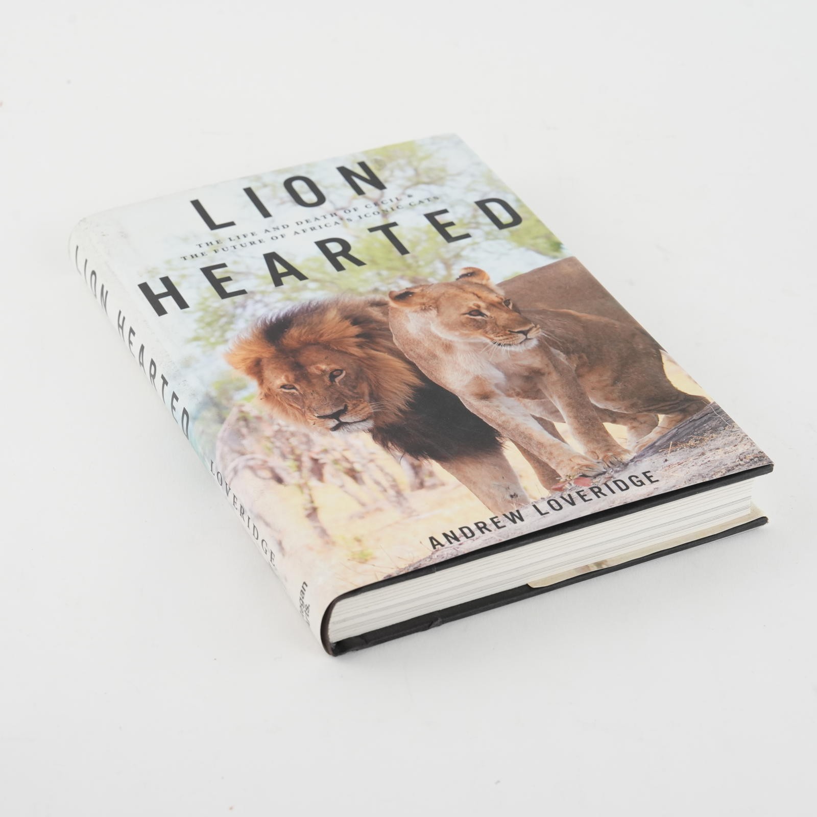 Lion Hearted: The Life and Death of Cecil & the Future of Africa&rsquo;s Iconic Cats