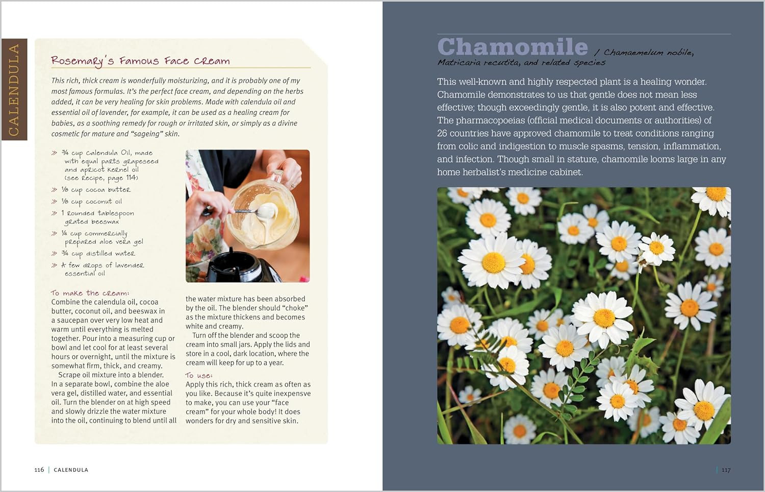 Rosemary Gladstar&rsquo;s Medicinal Herbs: A Beginner&rsquo;s Guide: 33 Healing Herbs to Kno