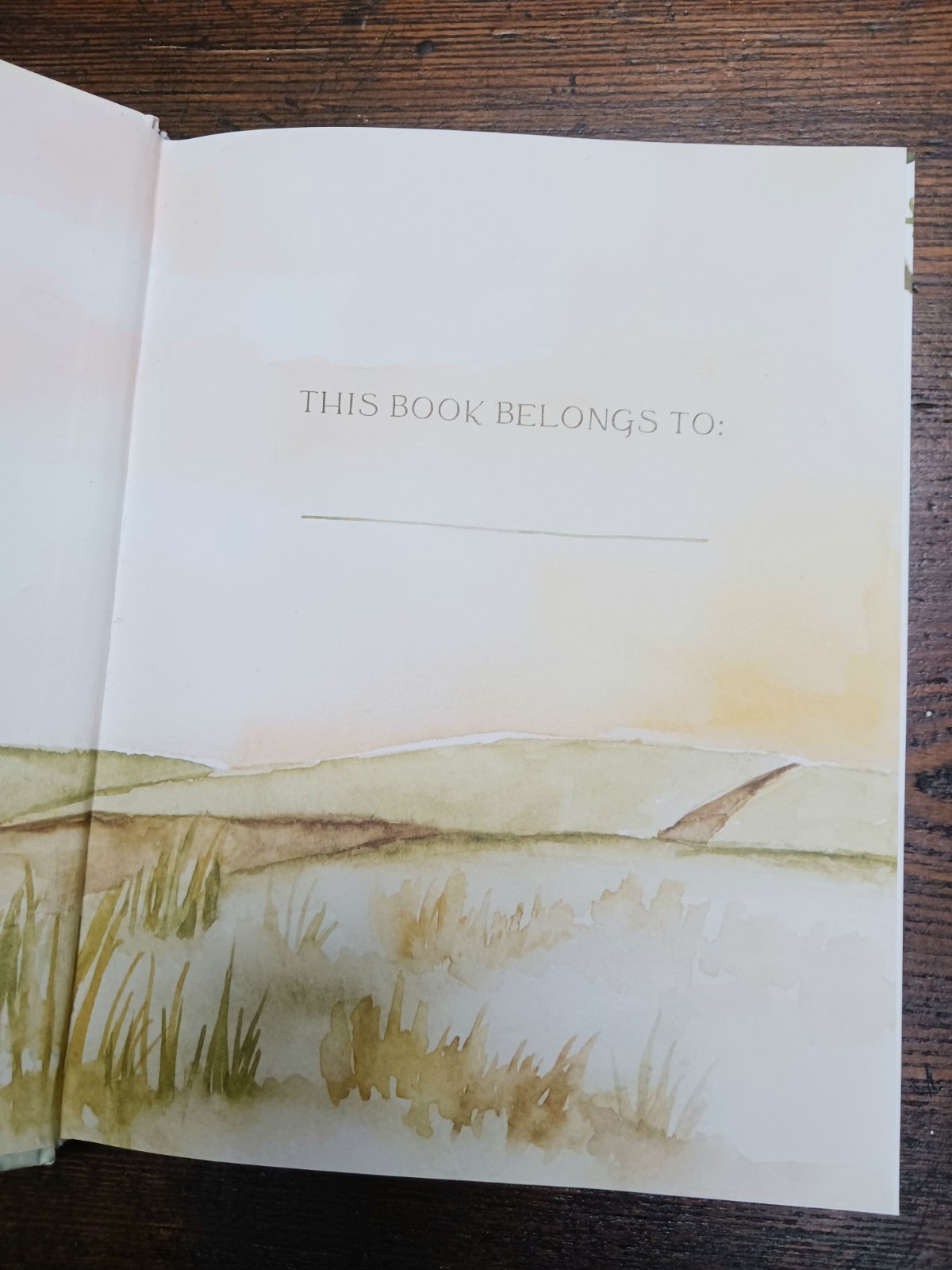 Pilgrim: 25 Ways God&rsquo;s Character Leads Us Onward by Ruth Chou Simons
