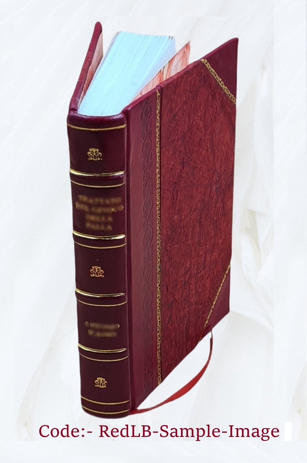The Travis (Travers) Family And Its Allies : Darrocott, Lewis, L [Leather Bound]