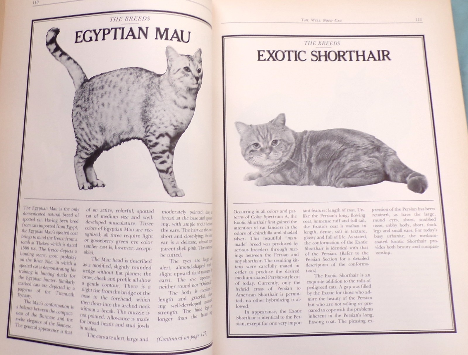 « Cat Catalog », The Ultimate Cat Book, Large « Very Good » 1st Ed. Book, 352 pages