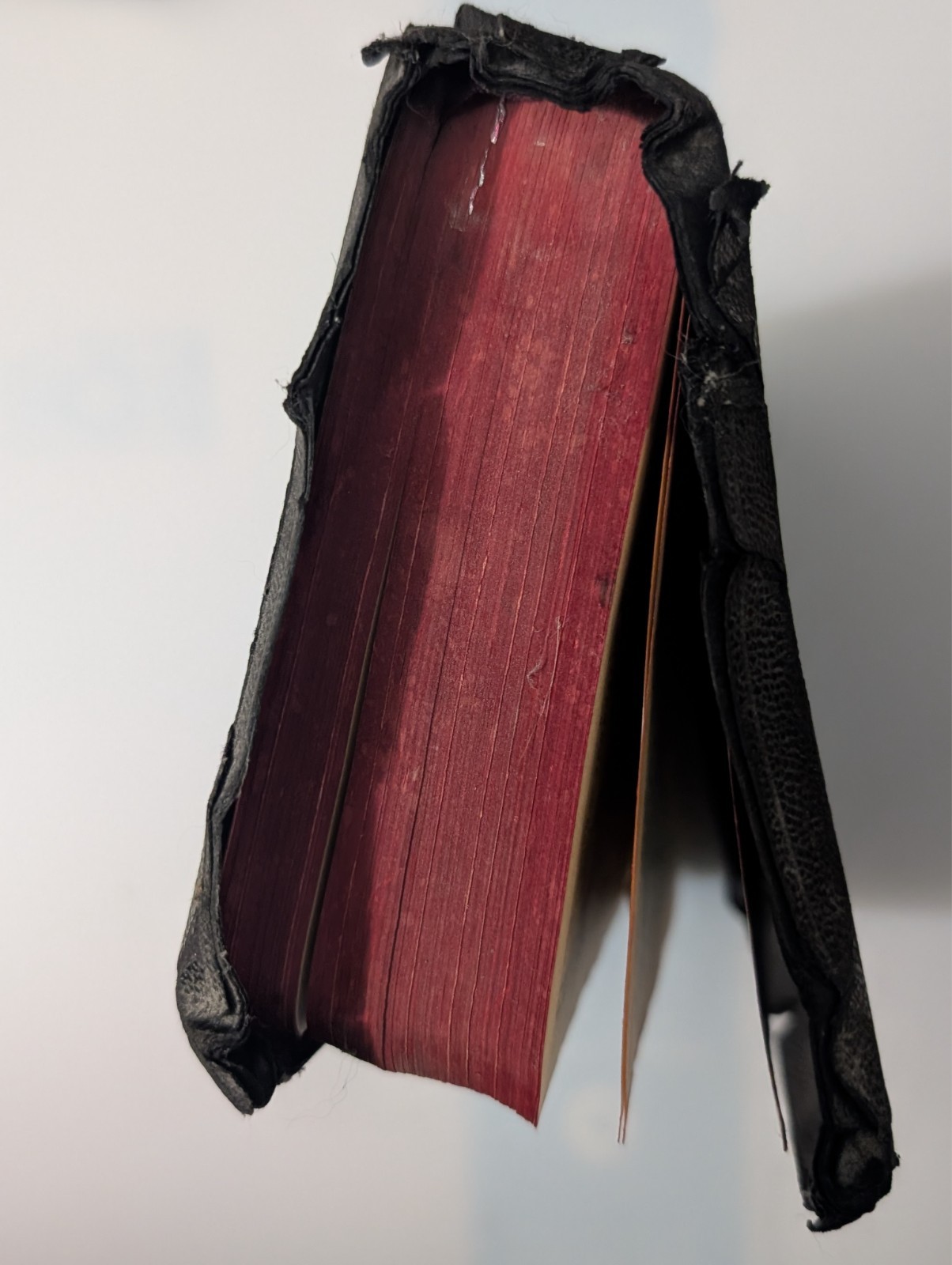 Vintage Holy Bible Illustrated With the Words of Christ Printed in Red (1940&rsquo;s)