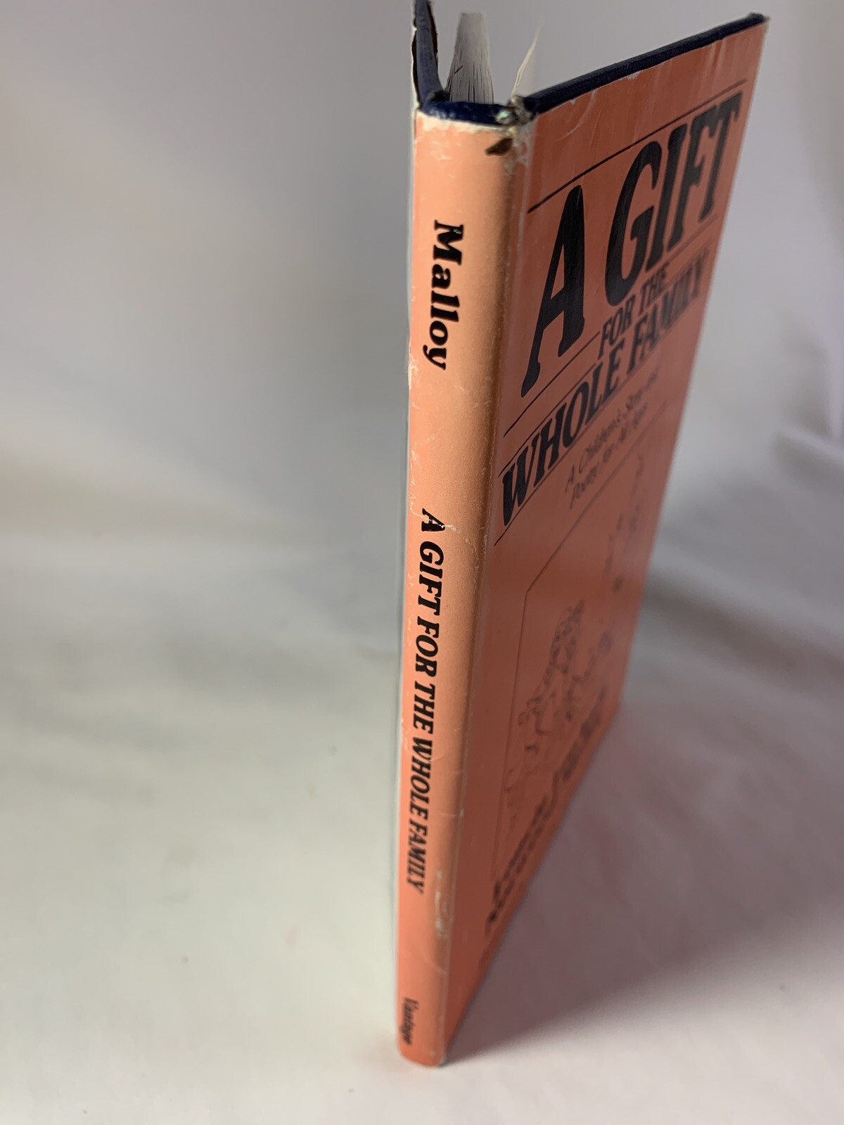 A Gift for the Whole Family ~ A Children&rsquo;s Story and Poetry for All Ages