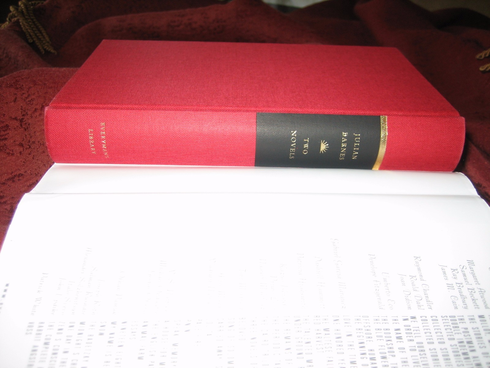 Flaubert&rsquo;s Parrot : A History of the World in 10 1/2 Chapters Julian Barnes (HD)