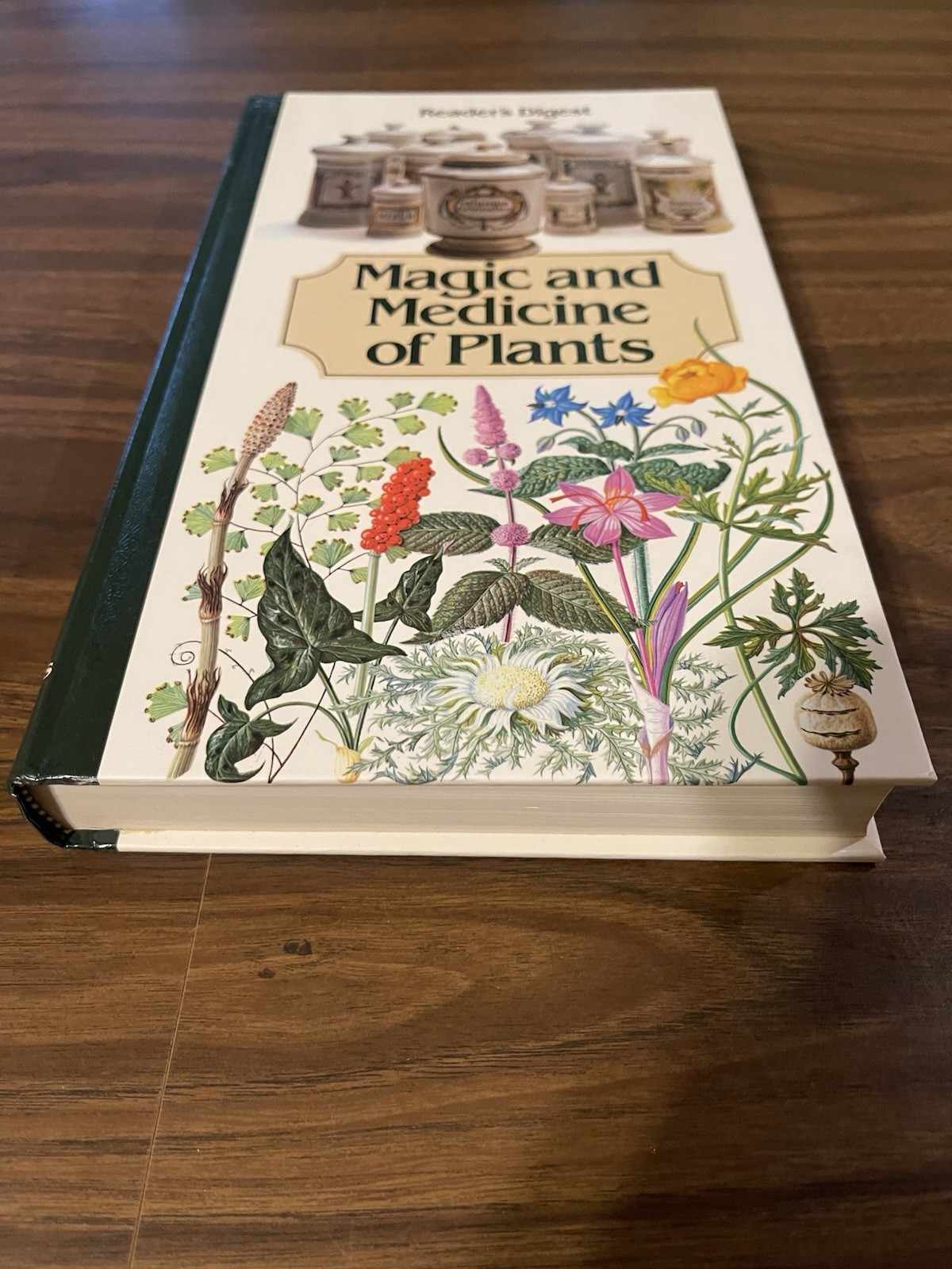 Magic and Medicine of Plants by Reader&rsquo;s Digest Editors 1986