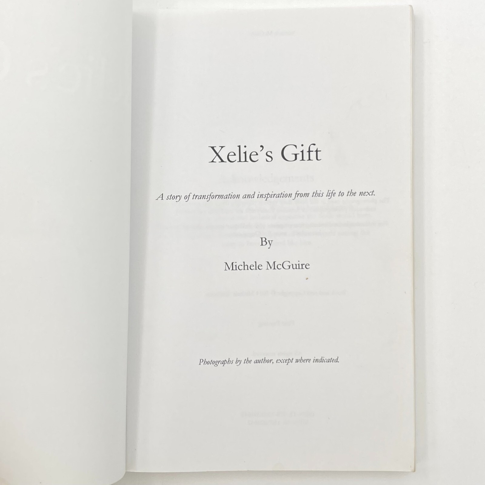 Xelie&rsquo;s Gift by Michele McGuire (2014, Trade Paperback) GC 272 pages