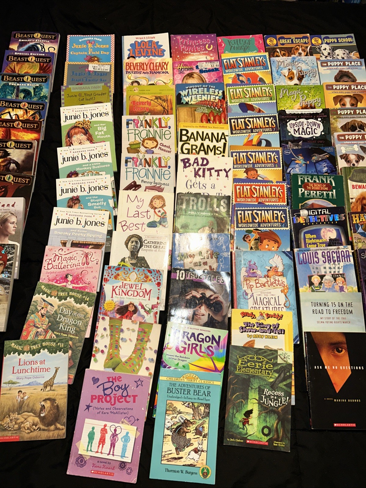 Bulk/Huge Lot of 108 of Children&rsquo;s Kids Chapter Books -Large Assortment