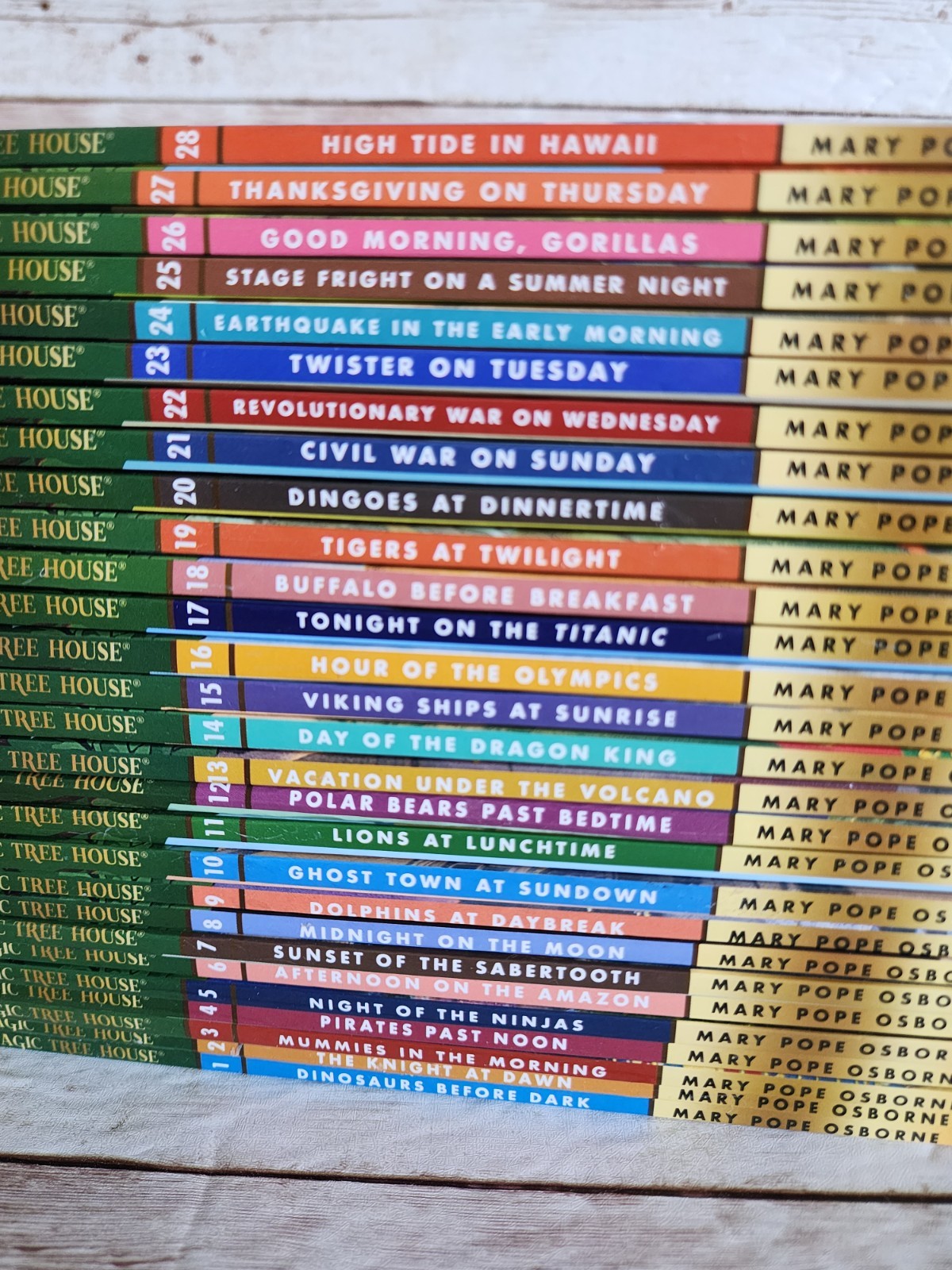 Magic Tree House Complete Book Set 1-28 by Mary Pope Osborne Children&rsquo;s Magical