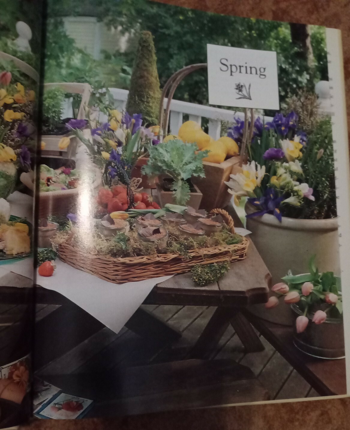 Vintage 1992 Betty Crocker&rsquo;s Easy Entertaining Julie Turnbull/Editors 161 Pages