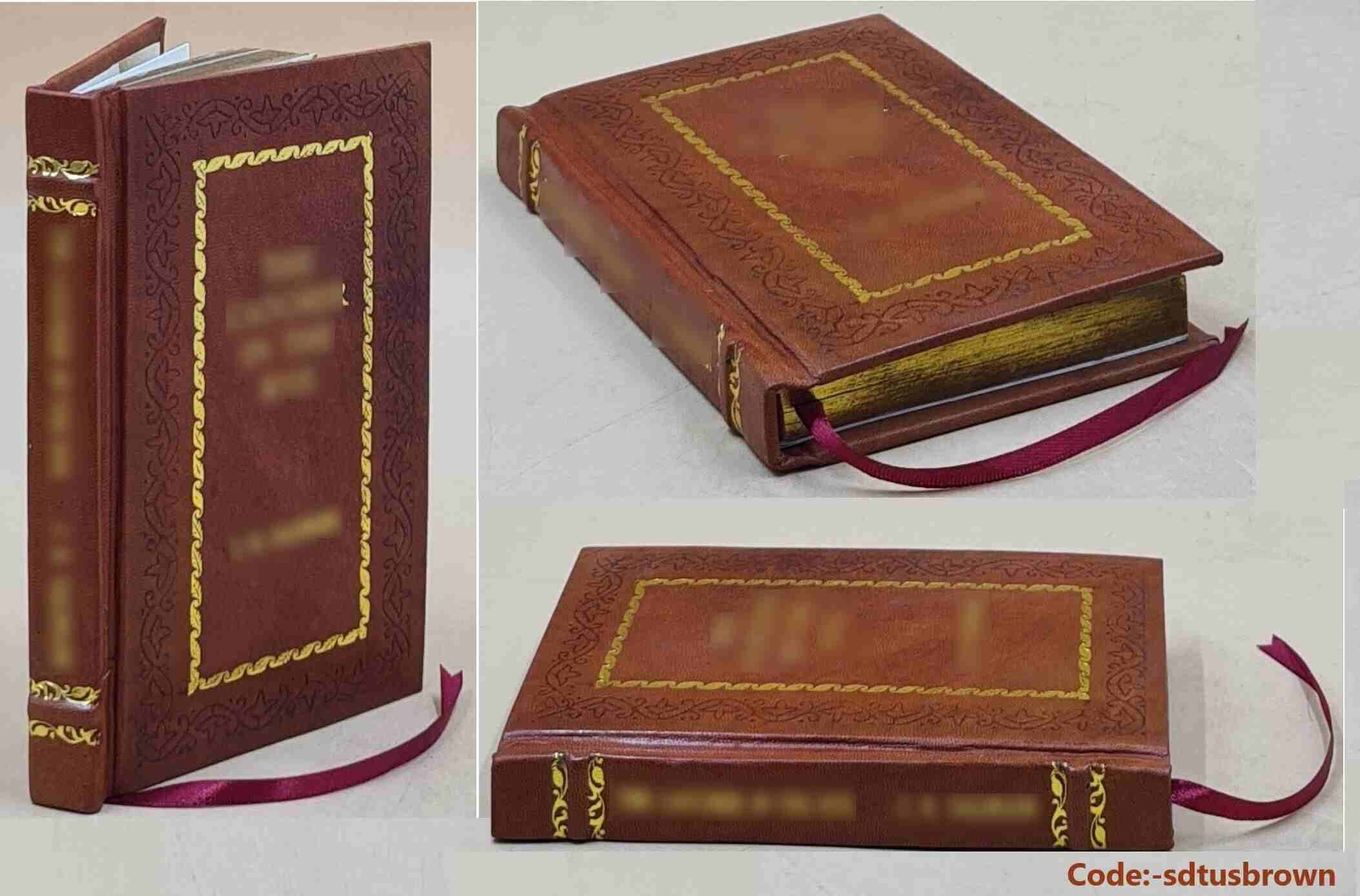 The Boy, The Mole, The Fox And The Horse [Premium Leather Bound]