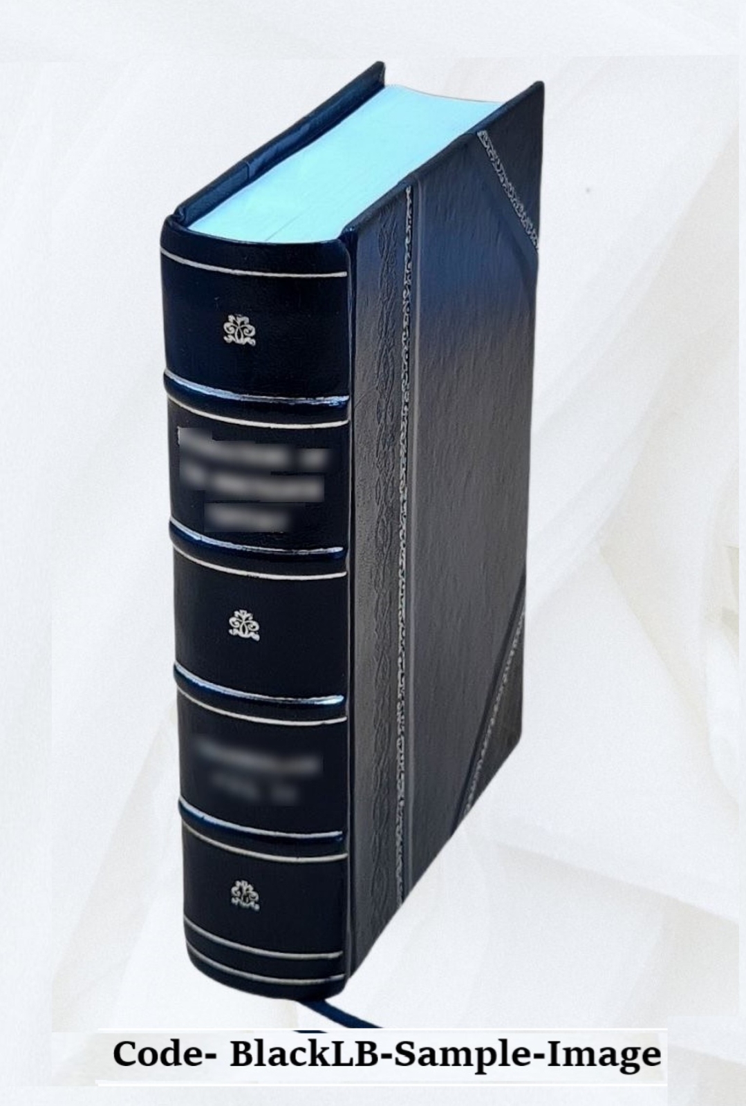 Atonement Soteriology 1888 By S. G. Burney [Leather Bound]
