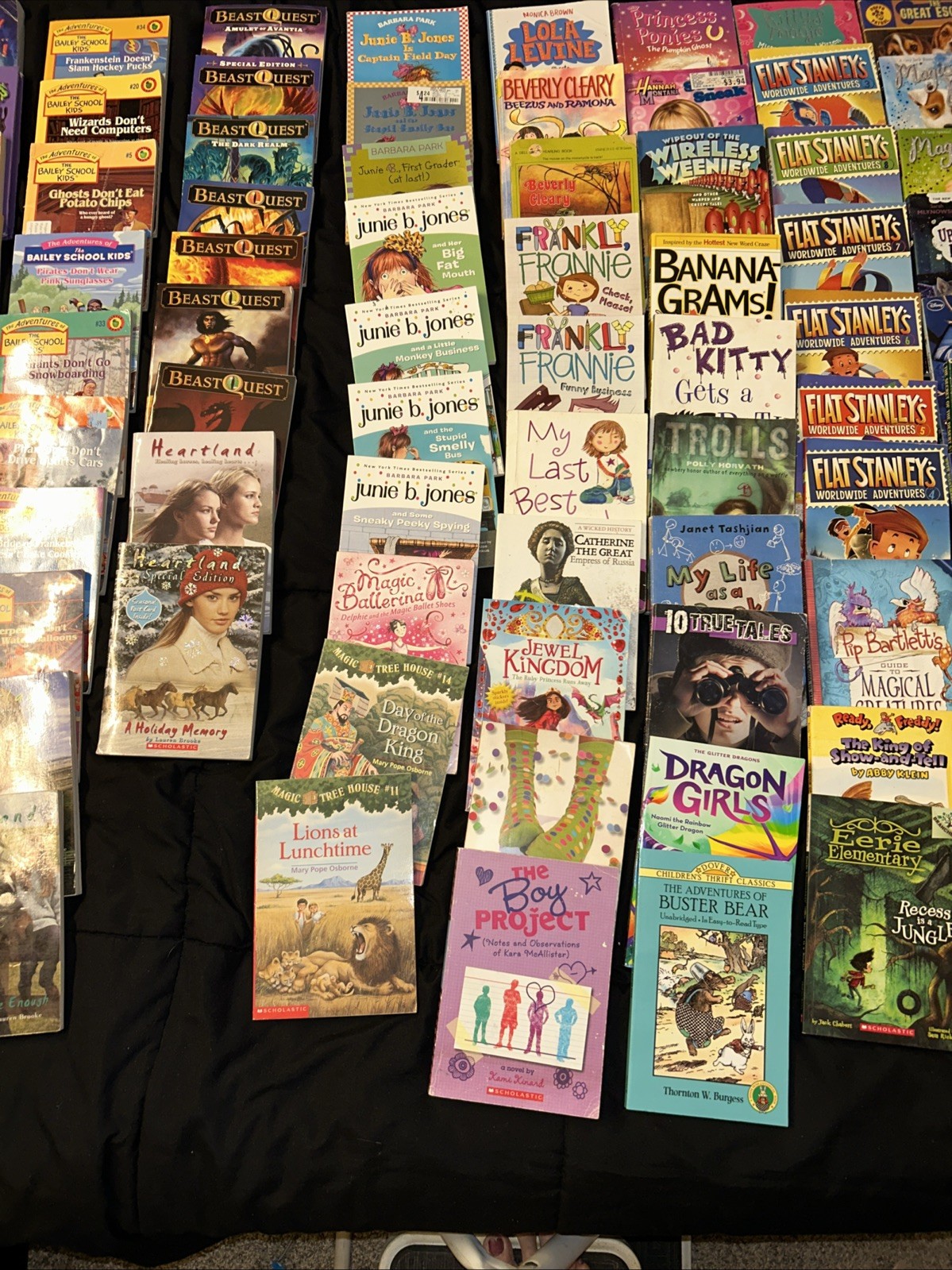 Bulk/Huge Lot of 108 of Children&rsquo;s Kids Chapter Books -Large Assortment