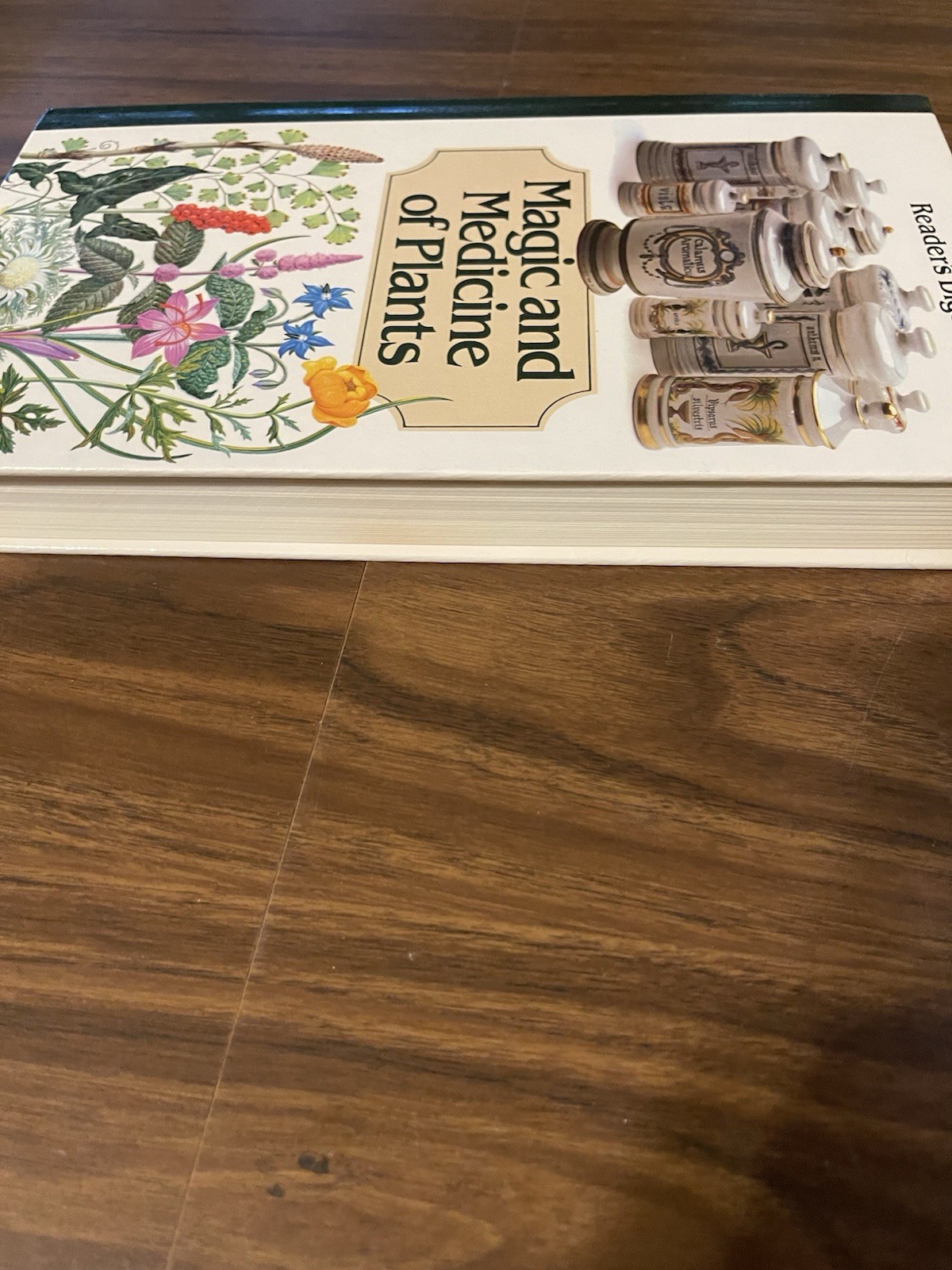 Magic and Medicine of Plants by Reader&rsquo;s Digest Editors 1986