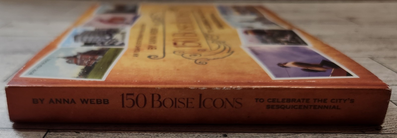 150 Boise Icons to Celebrate the City&rsquo;s Sesquicentennial ~ Anna Webb ~ 2013