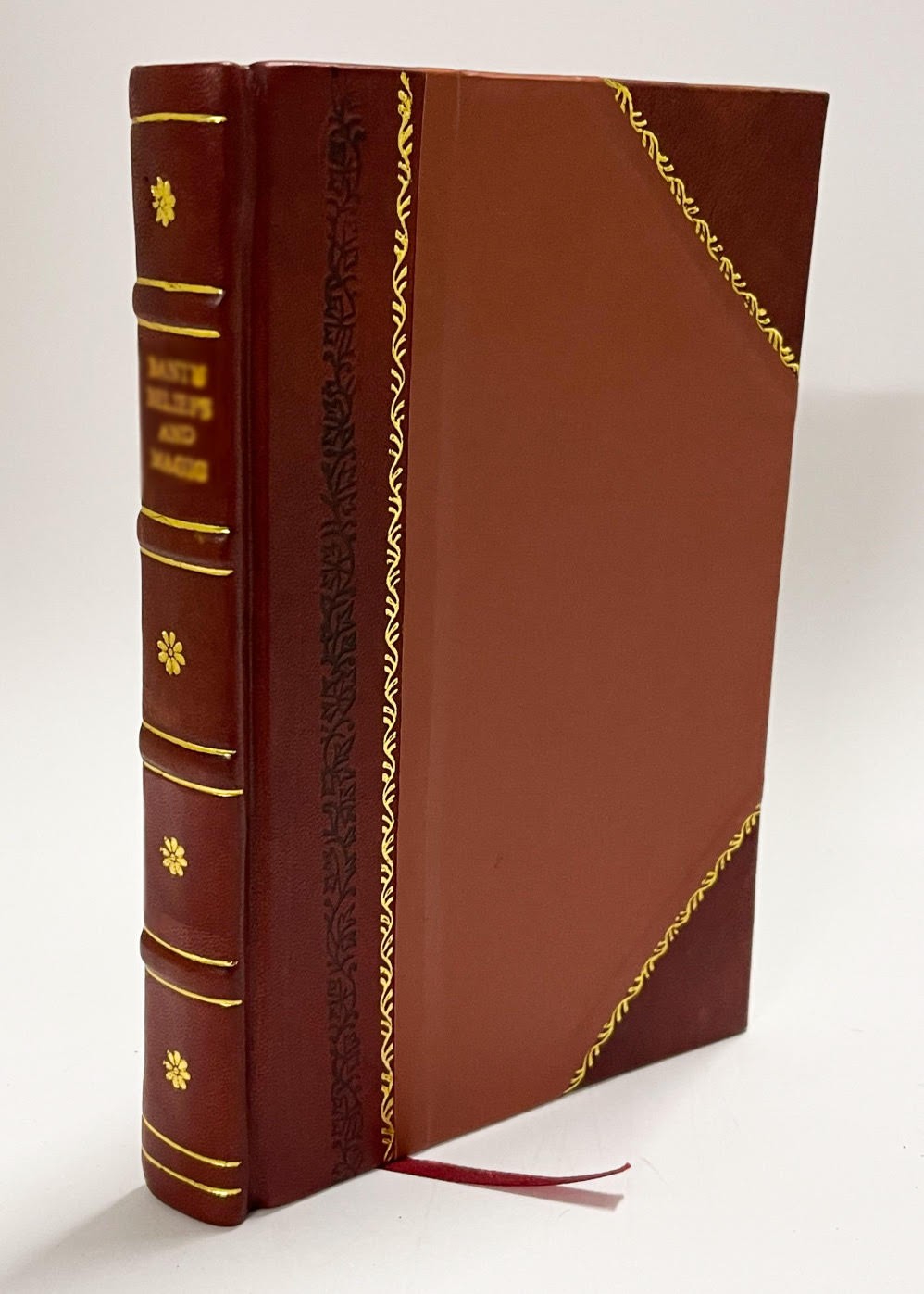 The Ferryman, by Helen Mathers [Leather Bound]
