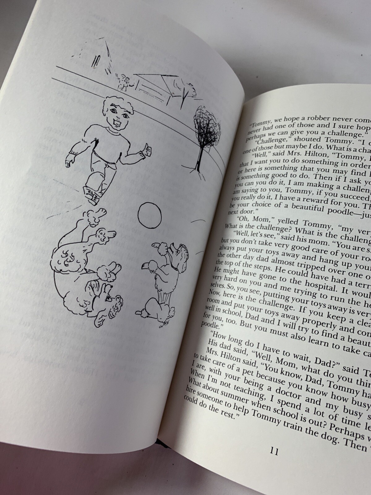 A Gift for the Whole Family ~ A Children&rsquo;s Story and Poetry for All Ages