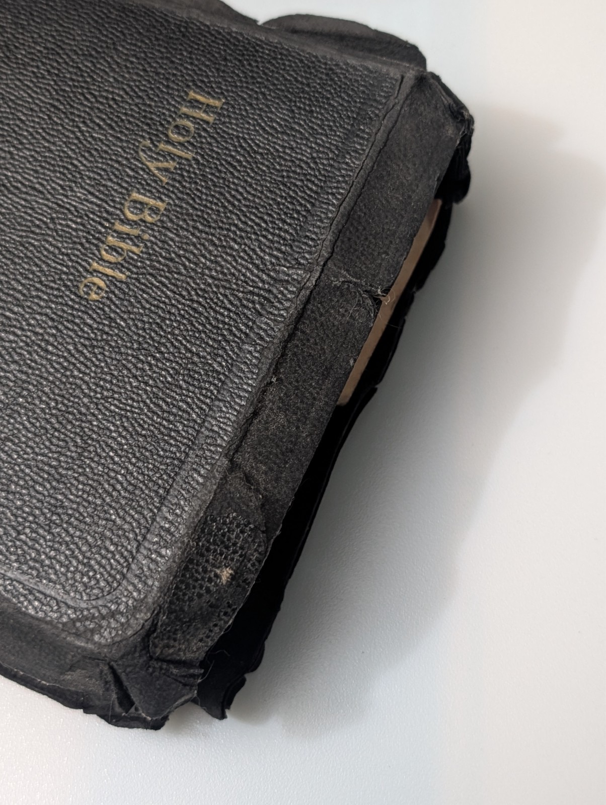 Vintage Holy Bible Illustrated With the Words of Christ Printed in Red (1940&rsquo;s)