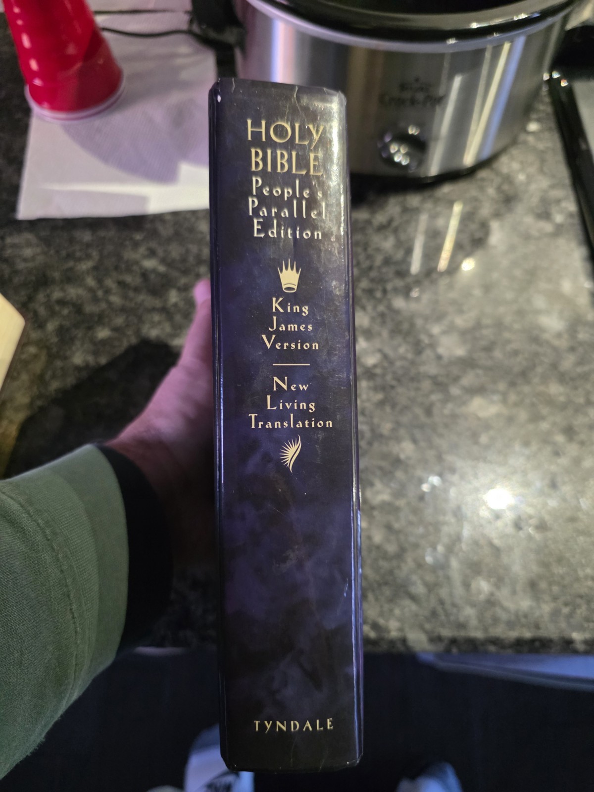 Holy Bible: People&rsquo;s Parallel Edition King James Version/New Living Translation