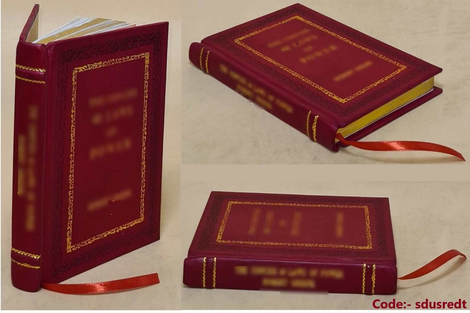 The Fabulous Lost & Found and the little Korean mouse: L [Premium Leather Bound]