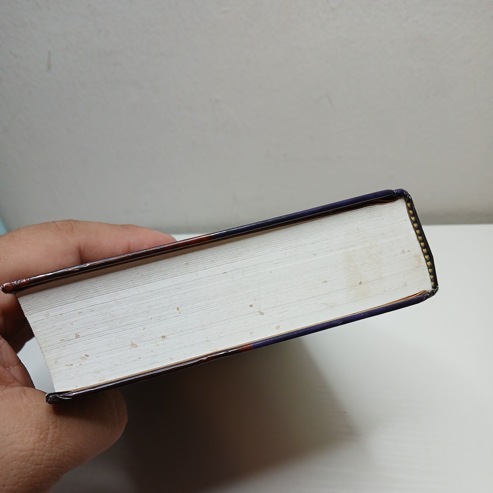 Holy Bible: People&rsquo;s Parallel Edition King James Version/New Living Translation