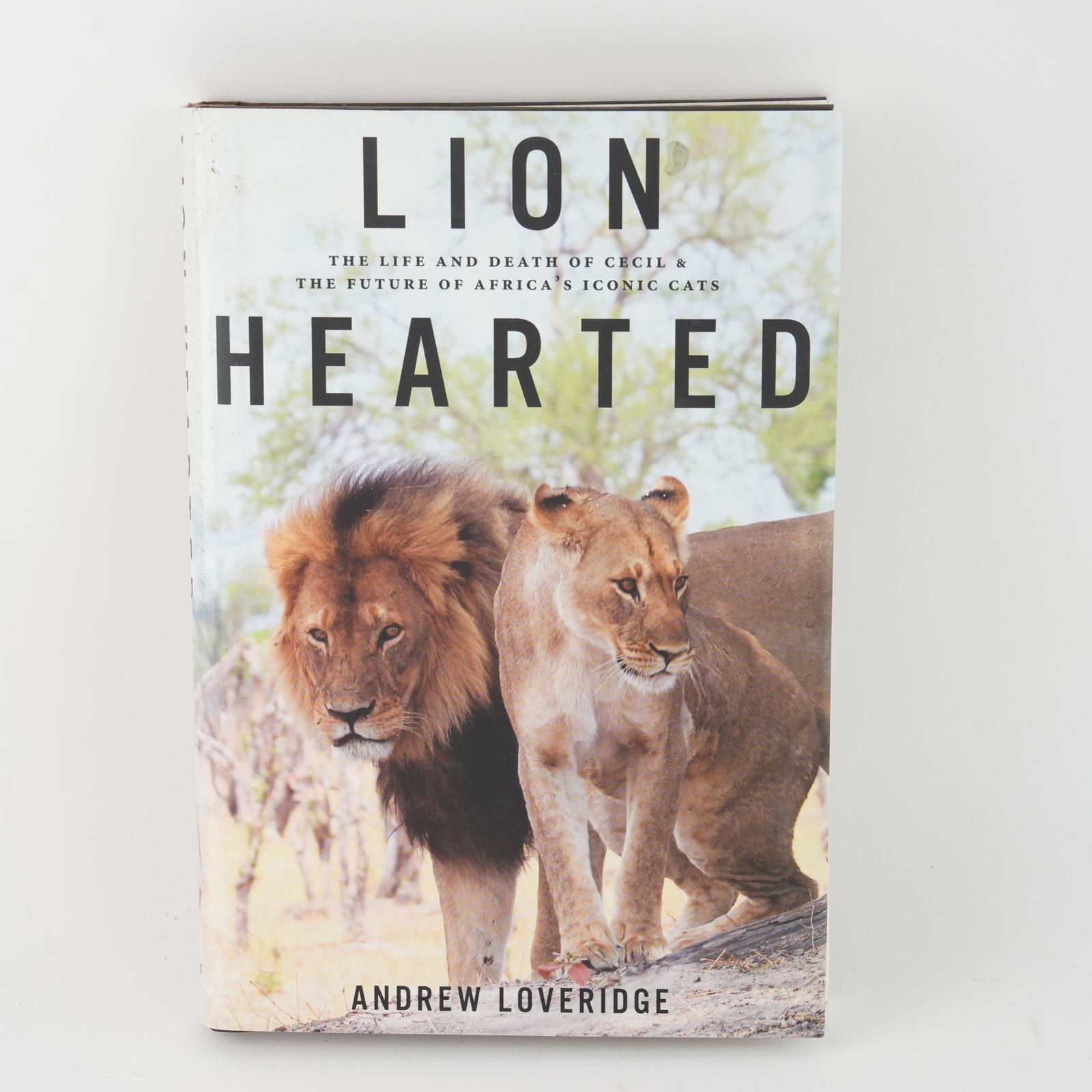 Lion Hearted: The Life and Death of Cecil & the Future of Africa&rsquo;s Iconic Cats