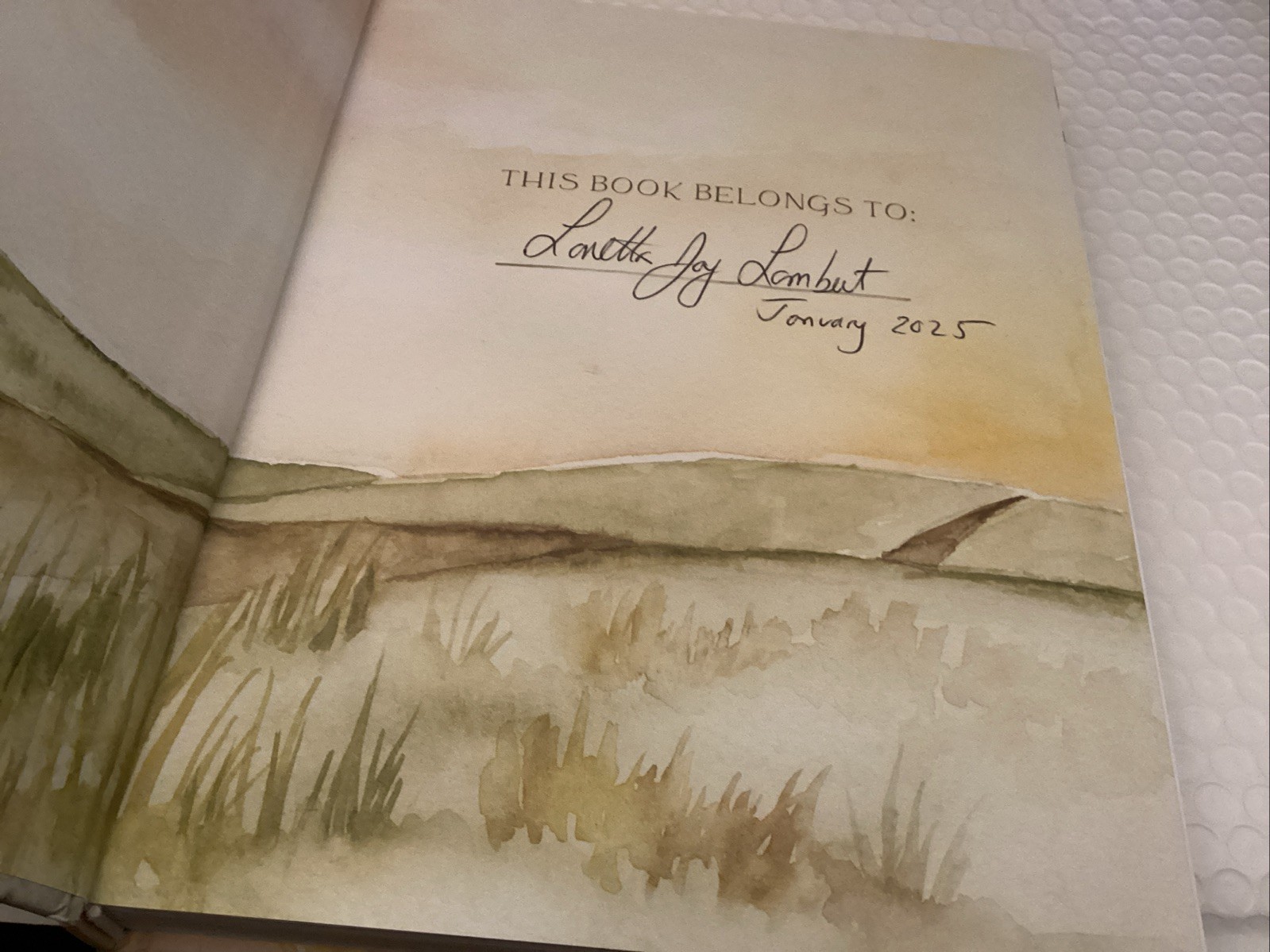 Pilgrim: 25 Ways God&rsquo;s Character Leads Us Onward by Ruth Chou Simons