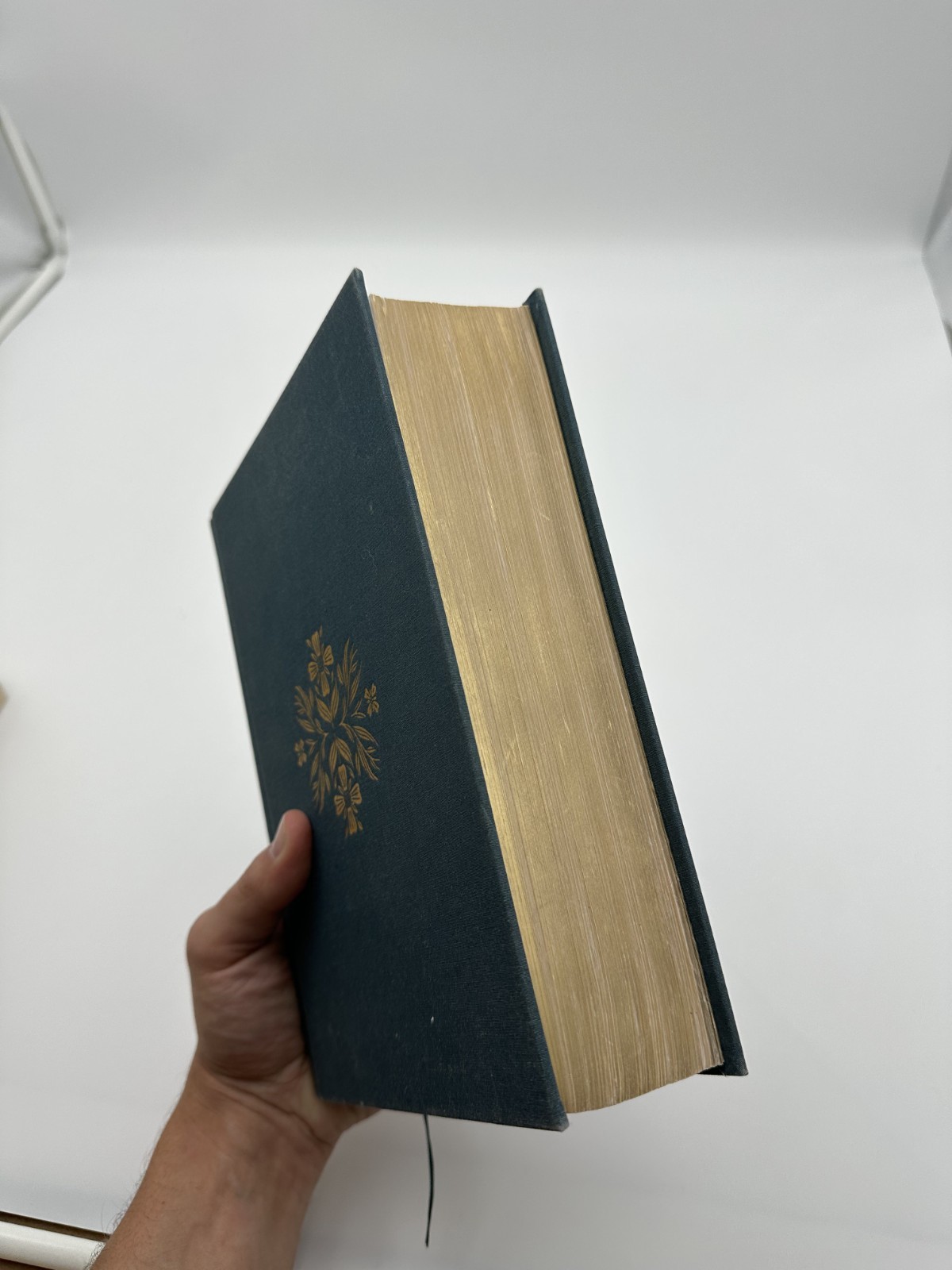 2020 Women&rsquo;s Study Bible ESV Missing Dust Jacket