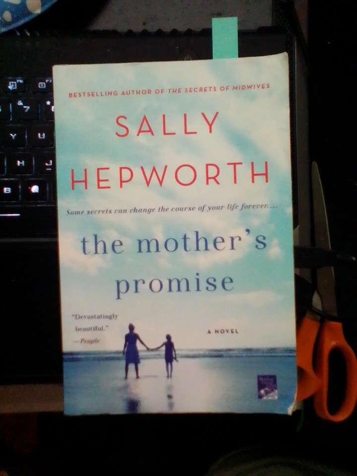 The Mother&rsquo;s Promise : A Novel Paperback Sally Hepworth GOOD
