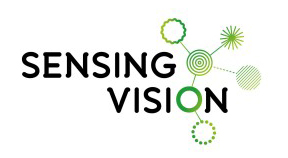 Sensing vision